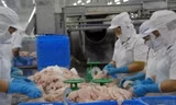 Chi tiết chương trình kiểm soát cá da trơn xuất khẩu sang Mỹ