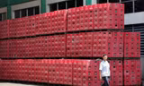 Sản xuất kinh doanh đình trệ, công ty bia xin giãn thời gian nộp thuế