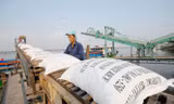 Nhiều doanh nghiệp không kịp trở tay để đăng ký tờ khai hải quan xuất khẩu gạo. Ảnh: CK