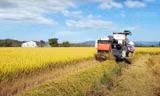 Lâm Đồng đề xuất sáp nhập ba huyện thành một