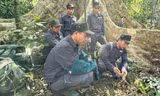 Tháo gỡ hàng trăm bẫy thú ở Vườn quốc gia Cát Tiên