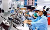 DNNN phải công khai báo cáo tài chính 6 tháng