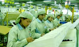  Không ít doanh nghiệp FDI lợi dụng ưu đãi đầu tư kê khai lỗ hoặc có các hoạt động chuyển giá để tránh phải nộp thuế. Ảnh: Ngọc Châu