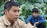 Thêm một phim chính luận về nông thôn. Ảnh: VFC