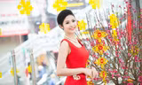 Ngọc Hân khoe vẻ rực rỡ, gợi cảm bên hoa đào