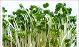 Ảnh minh hoạ: Internet