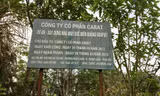 Xem xét thu hồi mỏ than chì rộng hơn 100 ha tại Lào Cai