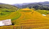 Tỉnh Lào Cai mới quyết tâm trở thành trung tâm du lịch của vùng Tây Bắc