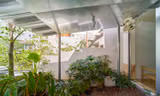 Mê mẩn nhà ống cũ sau cải tạo