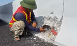 Cao tốc đẹp nhất nước vừa đi vào hoạt động đã bị trộm cáp ngầm