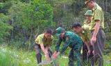 Thả trăn gấm quý hiếm về tự nhiên