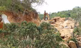 Thuê rẫy giá rẻ để khai thác cát trái phép