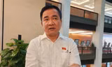 Đại biểu Quốc hội: Ngoài yếu tố pháp luật, người nổi tiếng càng phải giữ liêm sỉ