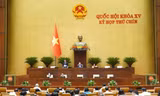 Quốc hội điều chỉnh chương trình kỳ họp, rút ngắn thời gian, bế mạc ngày 27/6