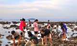 Nhiều người đổ ra biển 'uy hiếp' rạn san hô vịnh Nha Trang