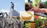 Lộ diện 7 mặt hàng nông, lâm, thuỷ sản xuất khẩu đạt trên 2 tỷ USD