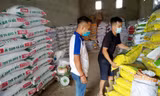 Vì sao nhiều loại phân bón vẫn tăng giá kỷ lục?