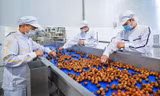 Đề xuất giảm thuế thu nhập doanh nghiệp đến năm 2022