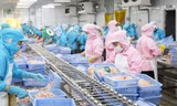 Những mặt hàng kéo tụt kim ngạch xuất khẩu nông, lâm, thủy sản Việt Nam