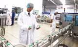 Các doanh nghiệp được thí điểm tự chứng nhận xuất xứ phải đáp ứng các tiêu chí không vi phạm quy định về xuất xứ trong 2 năm gần nhất và kim ngạch xuất khẩu đi ASEAN được cấp C/O mẫu D năm trước phải đạt tối thiểu 10 triệu USD.
