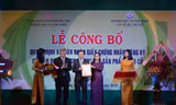 Công bố giấy chứng nhận chỉ dẫn địa lý sâm “Ngọc Linh”
