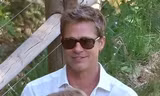 Brad Pitt gây sốt với ngoại hình như trẻ lại 20 tuổi