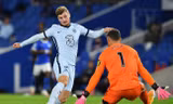 Timo Werner đã chơi nỗ lực trong trận đấu với Brighton.