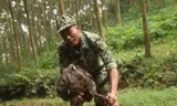 Thợ săn đang rũ trứng kiến ra khỏi tổ