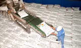 Giá phân bón có thể sắp tăng 