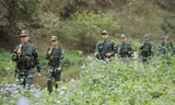 Cán bộ, chiến sĩ Đồn Biên phòng Bình Nghi (BĐBP Lạng Sơn) tuần tra bảo vệ biên giới. Ảnh: Nguyễn Minh