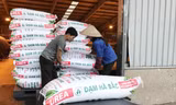 Nhiều doanh nghiệp sản xuất phân bón trong nước điêu đứng vì phân bón giả, nhái và phân bón nhập khẩu từ các nướcẢnh: Thục Quyên