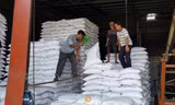 Nhiều DN xuất khẩu gạo gặp khó với việc hệ thống mở tờ khai hải quan lúc nửa đêm - Ảnh: Phương Chăm