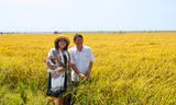 Thạc sĩ Cẩm Lai xin làm học trò Vua Lúa