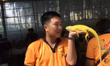Con kỳ đà màu vàng được cho là vô giá