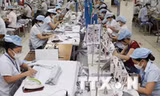 Hoạt động xuất nhập khẩu vẫn giữ nhịp tăng trưởng trong 5 tháng đầu năm 2014 (Ảnh: TTXVN)