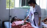 Ăn con so biển, 4 người nhập viện cấp cứu