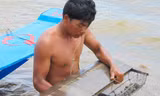 Người dân ở huyện Trần Văn Thời thu hoạch sò huyết. Ảnh: Ngọc Trinh.