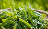 Uống gì detox để khỏe đẹp trong mùa hè?
