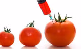Ưu nhược điểm của thực phẩm GMO từ góc độ ăn chay