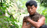 Nghìn con ong rừng đậu kín mặt 'dị nhân' Điện Biên