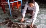 Ruồi quá nhiều, người dân dùng keo diệt không xuể