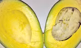 Quả bơ giàu vitamin B3 - Ảnh: Minh Khôi 