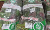 Rau được dán tem truy xuất nguồn gốc phải từ VietGap trở lên