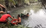 Người dân xã Đa Phước trúng mùa cá 