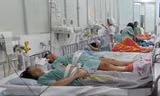 Nhiều ca mang thai hộ sẽ chào đời trong tháng 1