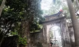  Cây sưa trăm tỷ tại Chương Mỹ (Hà Nội) khiến nhiều người xôn xao.