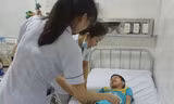 9 học sinh cấp 2 ở Hà Tĩnh phải nhập viện vì ngộ độc hạt cây ngô đồng