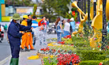 Đà Lạt rực rỡ sắc màu trước ngày khai mạc Festival hoa 