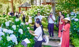 Lý do du khách ‘quay xe’ không đến Gia Lai 