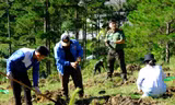 Tuổi trẻ Lâm Đồng phát động ra quân trồng cây gây rừng 